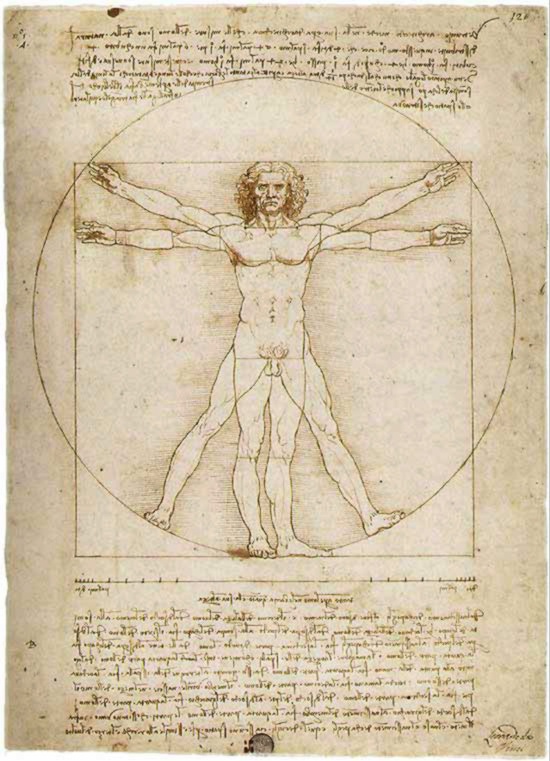 da-vinci-vitruvian-man (2).jpeg (155662 bytes)